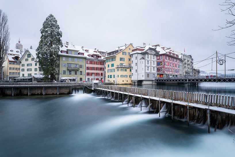 Lucerne by Severin Pomsel