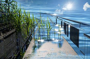 A disappearing bridge.