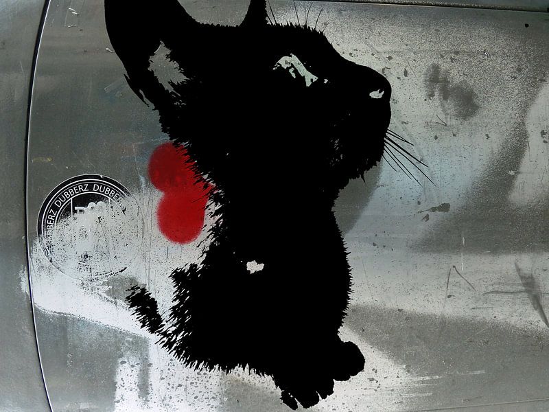Kattenkunst - Indy 2 van MoArt (Maurice Heuts)