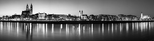 Magdeburg Skyline Panorama black and white