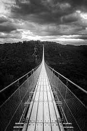 Geierlay schwarz-weiß