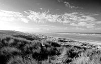 the dunes and sea of Vlieland
