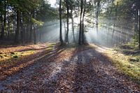 Herfst in Nederland.