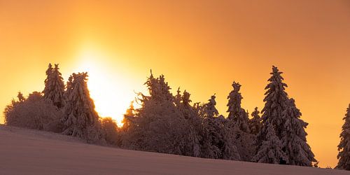 Magische avond in een winterlandschap 1