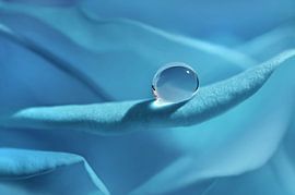 Water drops by Violetta Honkisz