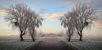 Winter @ Eyserheide by Rob Boon thumbnail