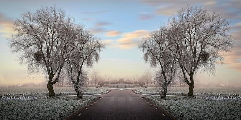Winter @ Eyserheide by Rob Boon