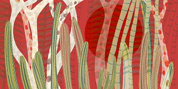 Elche El Huerto del Cura on fire