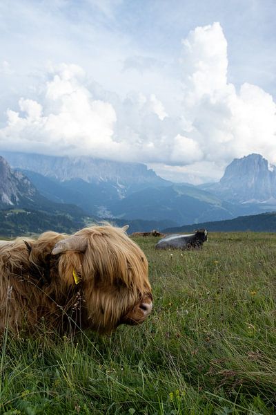 Dolomites by Sebastian Stef