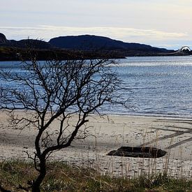 Stokkøya Beach by Anton Roeterdink