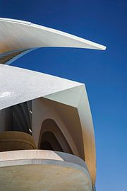 lose-up Wanddekoration des Palau de les Arts Reina Sofía – Stadt der Künste und Wissenschaften, Valencia von Ester Netten
