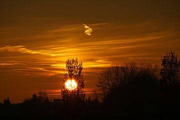 Zonsondergang achter bomen