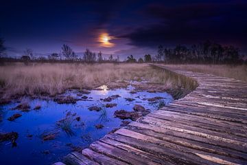 Limburg in de nacht van Jeroen Mikkers