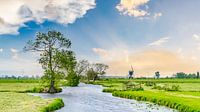 Alblasserwaard Landscape