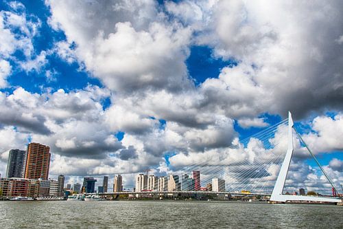Le cygne dans les nuages