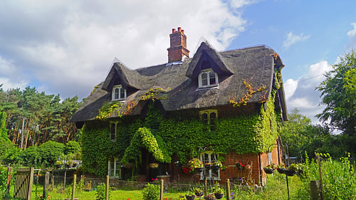 Ivy-covered house on the path in Suffolk