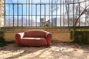 Verlassenes Gewächshaus. von Roman Robroek – Fotos verlassener Gebäude