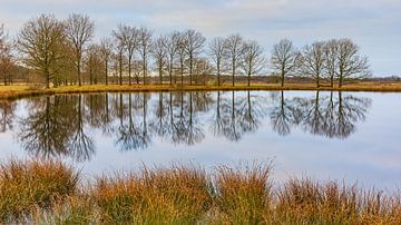 Moddergat in Nationaal Park Dwingelderveld van Henk Meijer Photography