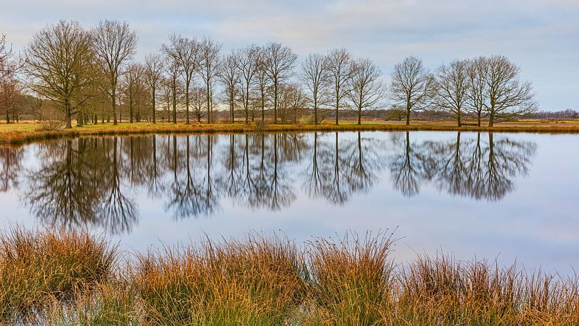 Moddergat im Nationalpark Dwingelderveld von Henk Meijer Photography