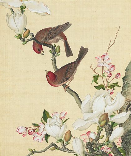 Rabapples and Yulan magnolias, Giuseppe Castiglione