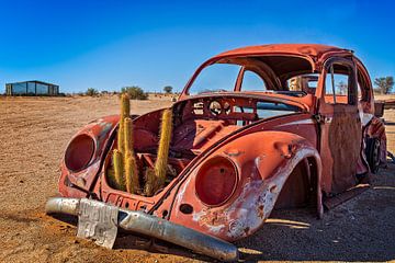 Rusty Volkswagen Beetle by Cees Stalenberg