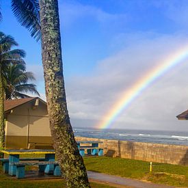 Regenboog over Hawaii van Sylvia de Strandjutter