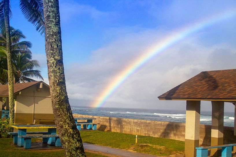 Regenboog over Hawaii van Sylvia de Strandjutter