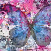 Schmetterlinge