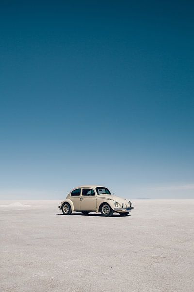Boliviaanse Beetle van Kevin Westhoeve