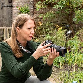 LB Fotografie Profile picture