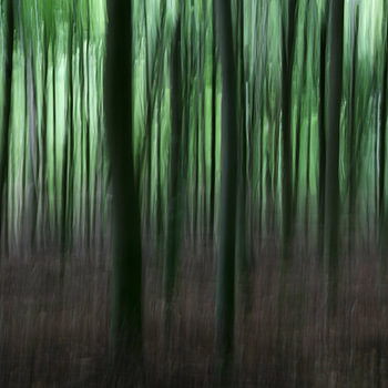 Der Wald IV