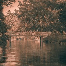Sepia in het Park van JacQ