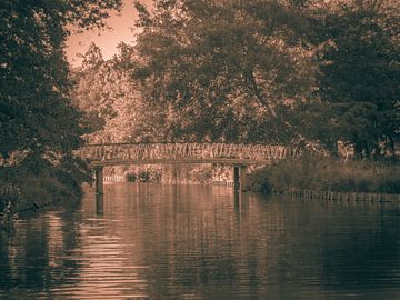 Sepia in het Park van JacQ