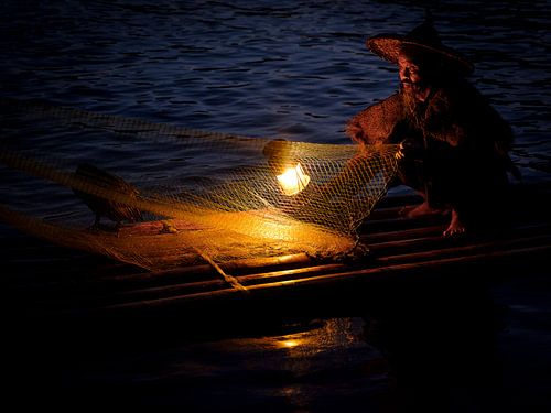 Traditionele aalscholver visser