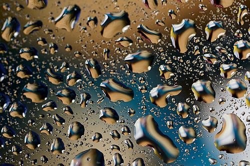 Drops from the distance, in focus from the dip