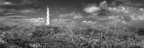 Vuurtoren op het eiland Aruba in zwart-wit.