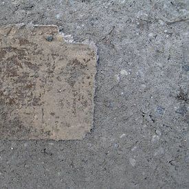 Frost. van JRobert Photography