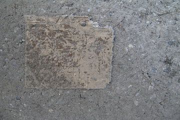 Le gel. sur JRobert Photography