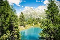 Natural Beauty in Switzerland