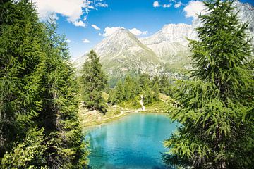 Natuurlijke Schoonheid in Zwitserland van Marius Hutanu