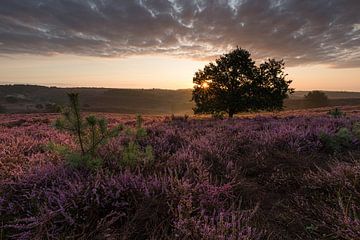 Posbank van Leo Kramp Fotografie