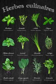 Kruiden - Keukenklassiekers in een oogopslag / Français van Photo Art Thomas Klee