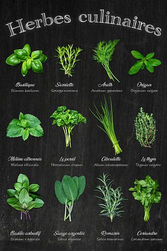 Kruiden - Keukenklassiekers in een oogopslag / Français