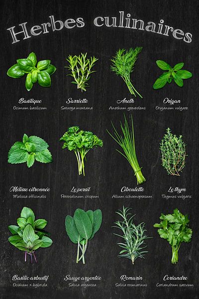 Kruiden - Keukenklassiekers in een oogopslag / Français van Photo Art Thomas Klee