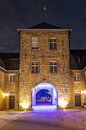 Lichtfeest in Schloss Dyck van Michael Ruland thumbnail