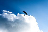 Parasailer