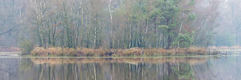 Nebliger Wintermorgen im Leersumse Veld | Utrechtse Heuvelrug von Sjaak den Breeje