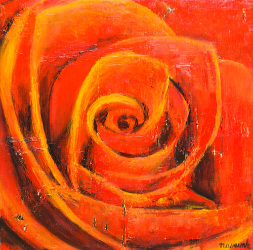 Red rose