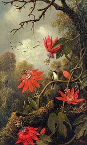 Hummingbird and Passionflowers by Gisela- Art for You