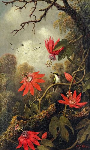 Hummingbird and Passionflowers